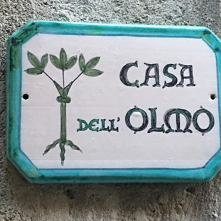 شقة Casa Dell'Olmo أورفييتو المظهر الخارجي الصورة
