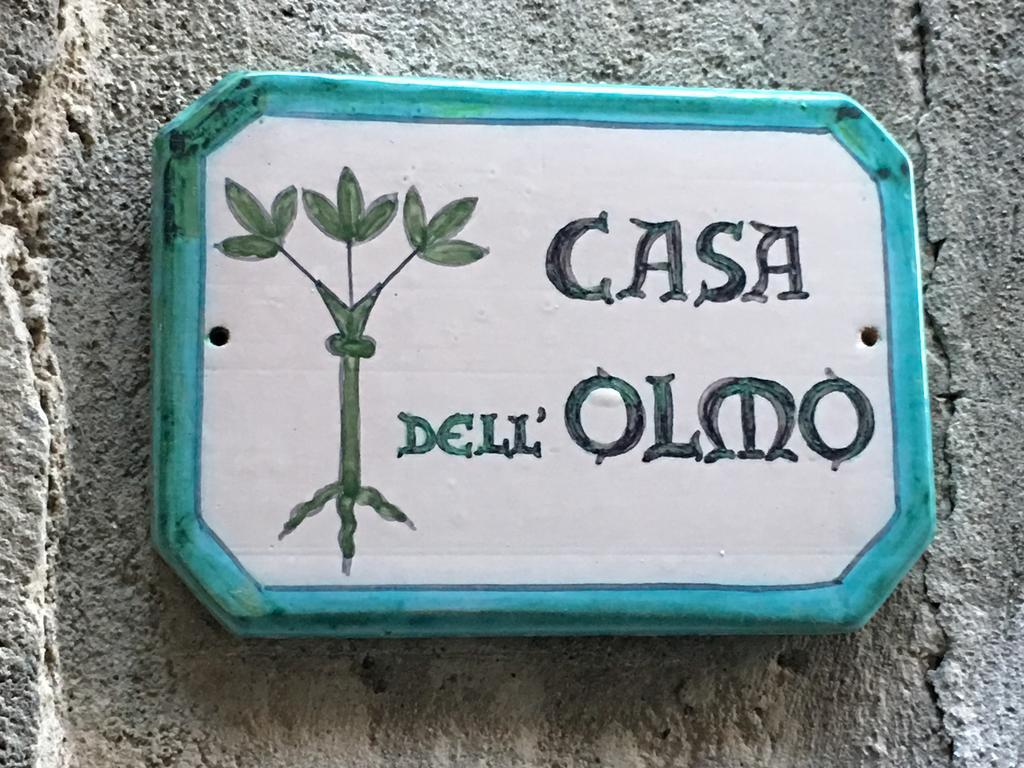شقة Casa Dell'Olmo أورفييتو المظهر الخارجي الصورة